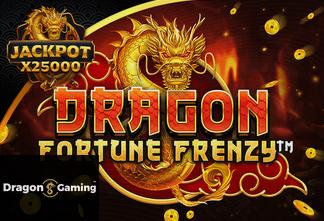 Dragon Fortune Frenzy